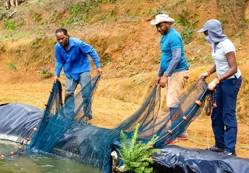 acuicultura sostenible en Ecuador FEDAC
